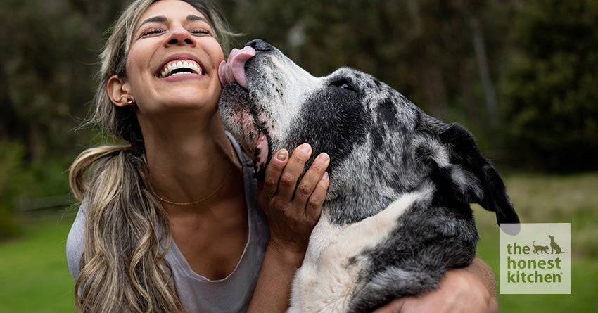 Best large clearance breed food