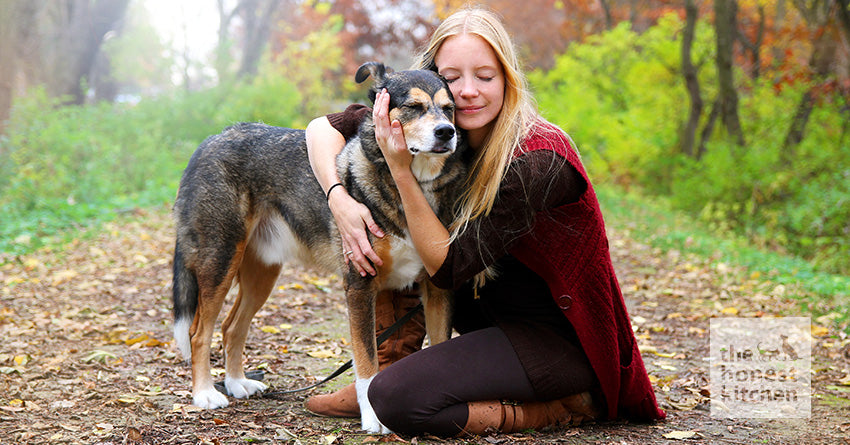 How To Pick the Best Food for Senior Dogs The Honest Kitchen