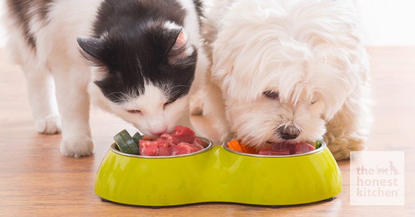 AAFCO and Pet Food Regulations The Honest Kitchen