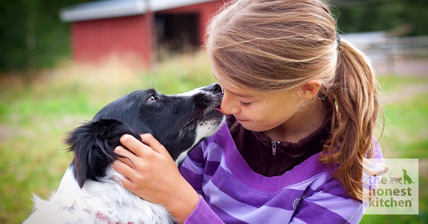 Why Dogs Like to Lick People