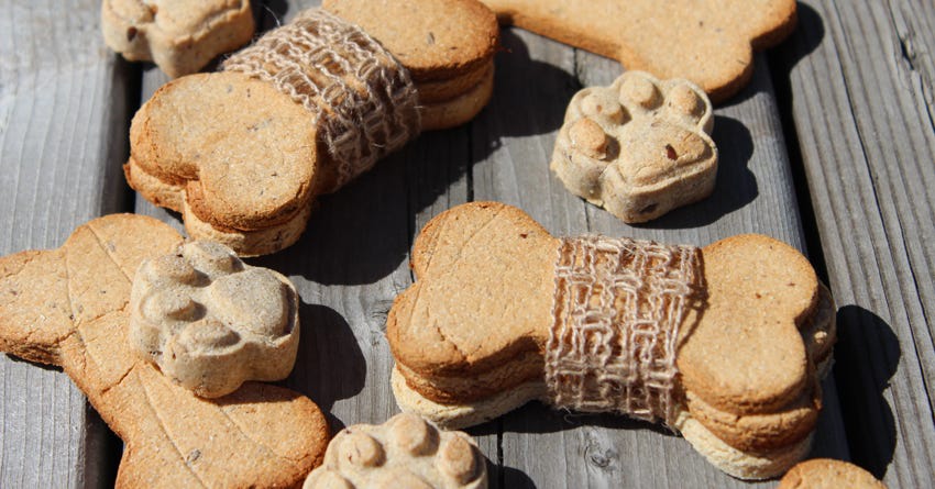 this is my go-to dog treat recipe! 🐶🦴 1 squishy banana 🍌 1/2 cup pe, Dog  Treat Recipes