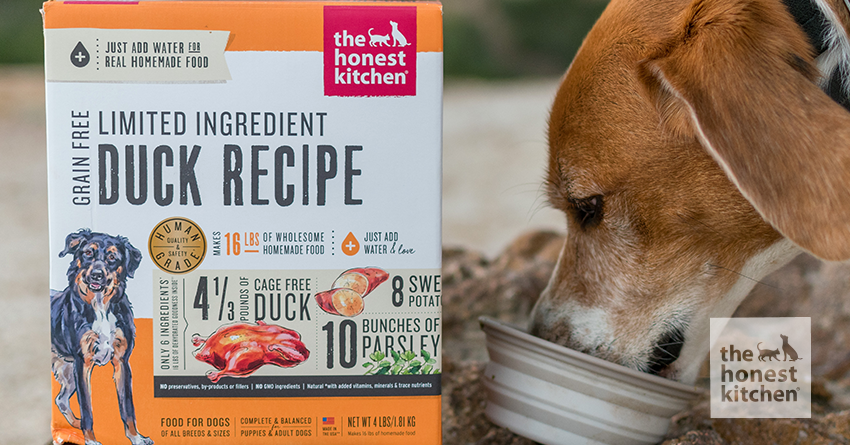 The Ultimate Guide to Limited Ingredient Diets for Dogs The Honest Kitchen