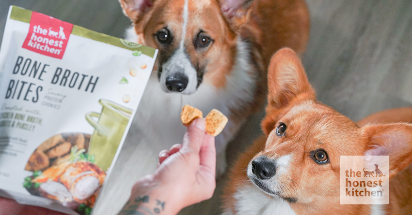 http://www.thehonestkitchen.com/cdn/shop/articles/what-to-look-for-in-dog-training-treats.png?v=1655065903