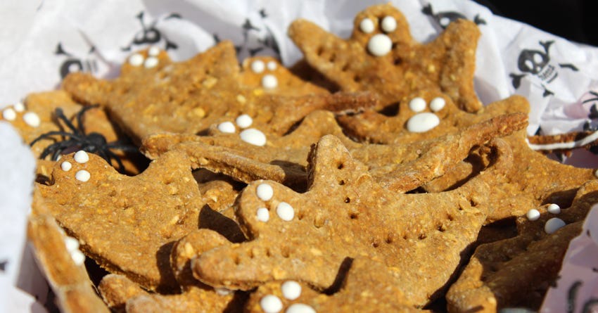 Pumpkin ginger dog treat recipe best sale