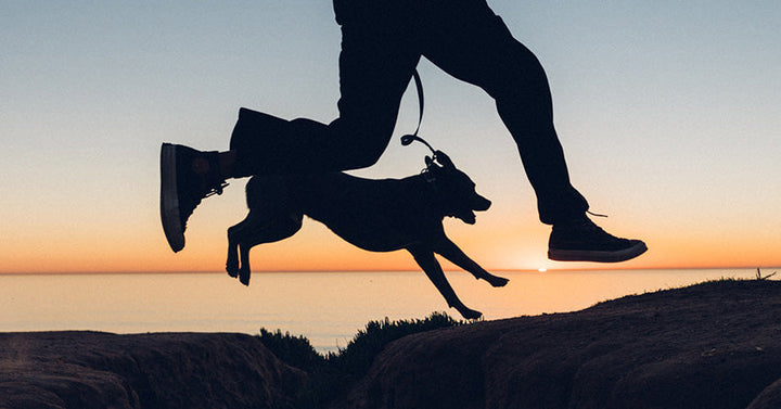 a man jumping over a small divet in the ground with his dog on a leash in front of a beach sunset.