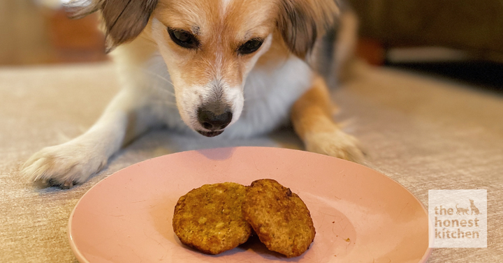 Fish Cake for Dogs