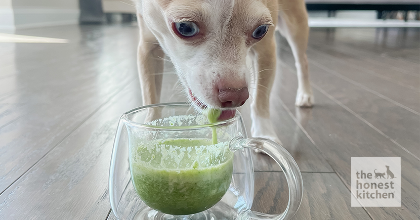 Green Smoothie for Dogs