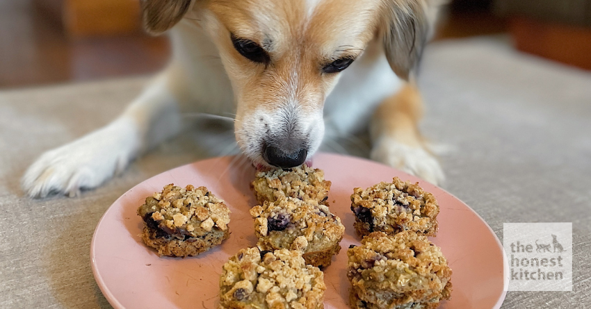 Mini Blueberry Muffins For Dogs