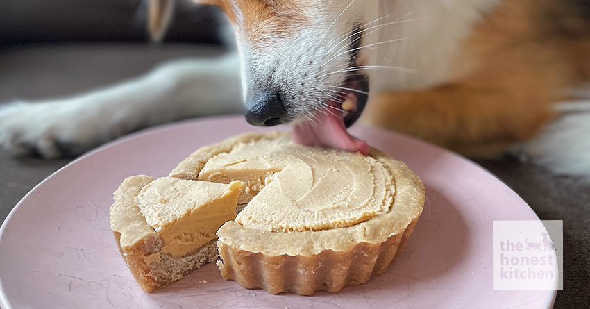 Peanut Butter Pie for Dogs