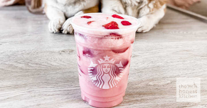 Pink Drink Recipe For Dogs