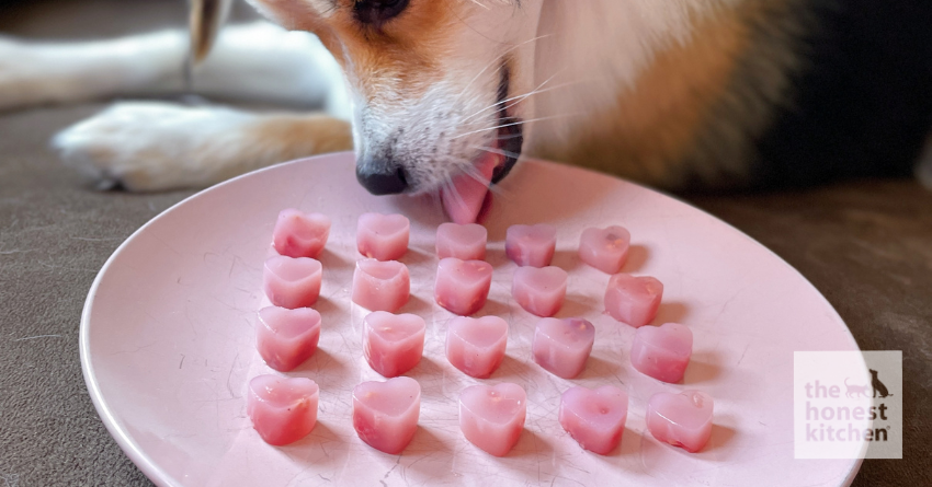 Raspberry Gummies Recipe for Dogs