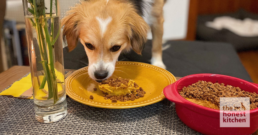 Sweet Potato Casserole for Dogs