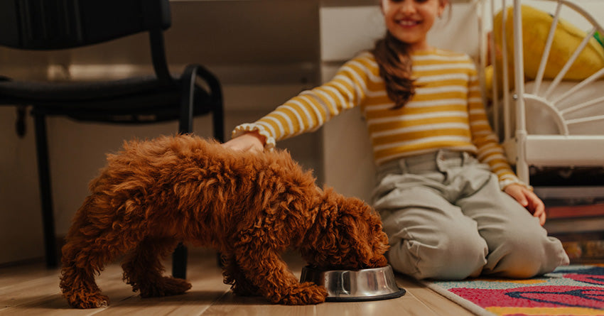 A child sitting on the floor and petting a dog while they eat