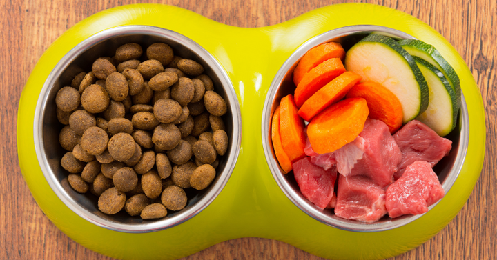 One bowl of dog food with dry kibble and one bowl of dog food with raw, sliced vegetables and beef