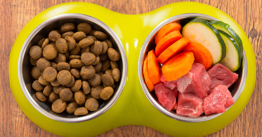 One bowl of dog food with dry kibble and one bowl of dog food with raw, sliced vegetables and beef