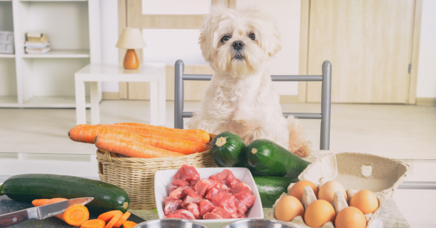 A dog sitting in front of a table covered in various fresh and raw foods