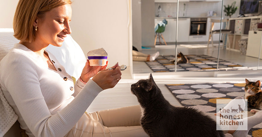 A human eating with a dark cat sitting near and watching