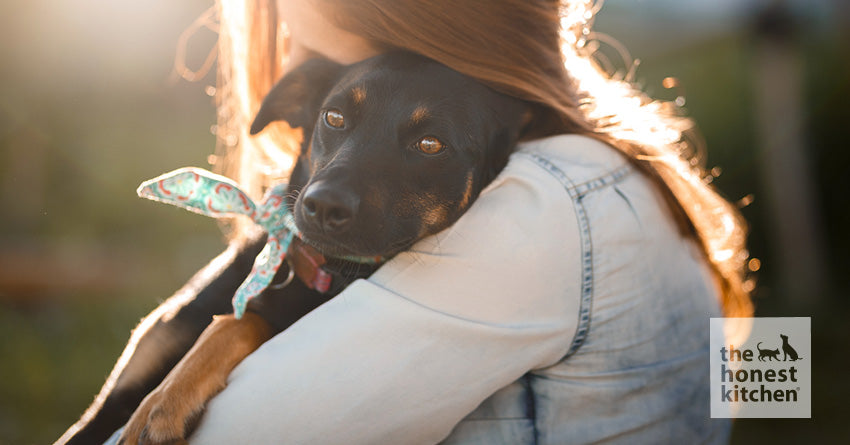 A person holding a small dog up to their chest