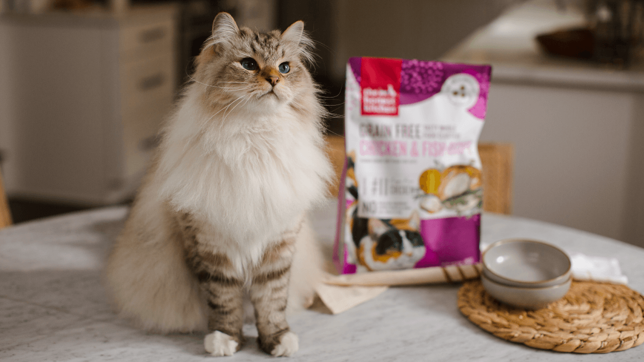 Shop Cat Food & Hydration for Skin & Coat | The Honest Kitchen