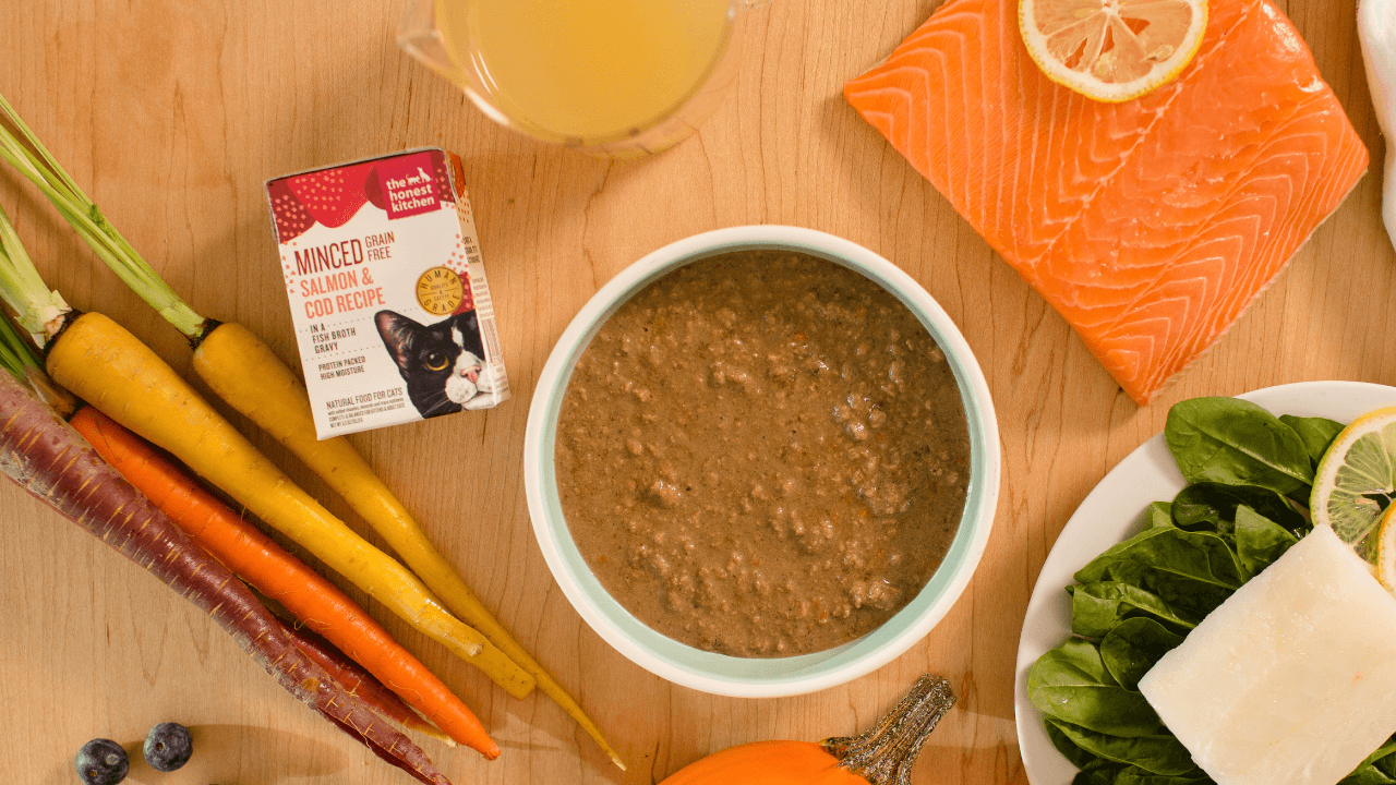 Shop Wet Cat Food Minced | The Honest Kitchen