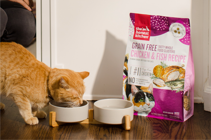 Human Grade Cat Food – The Honest Kitchen