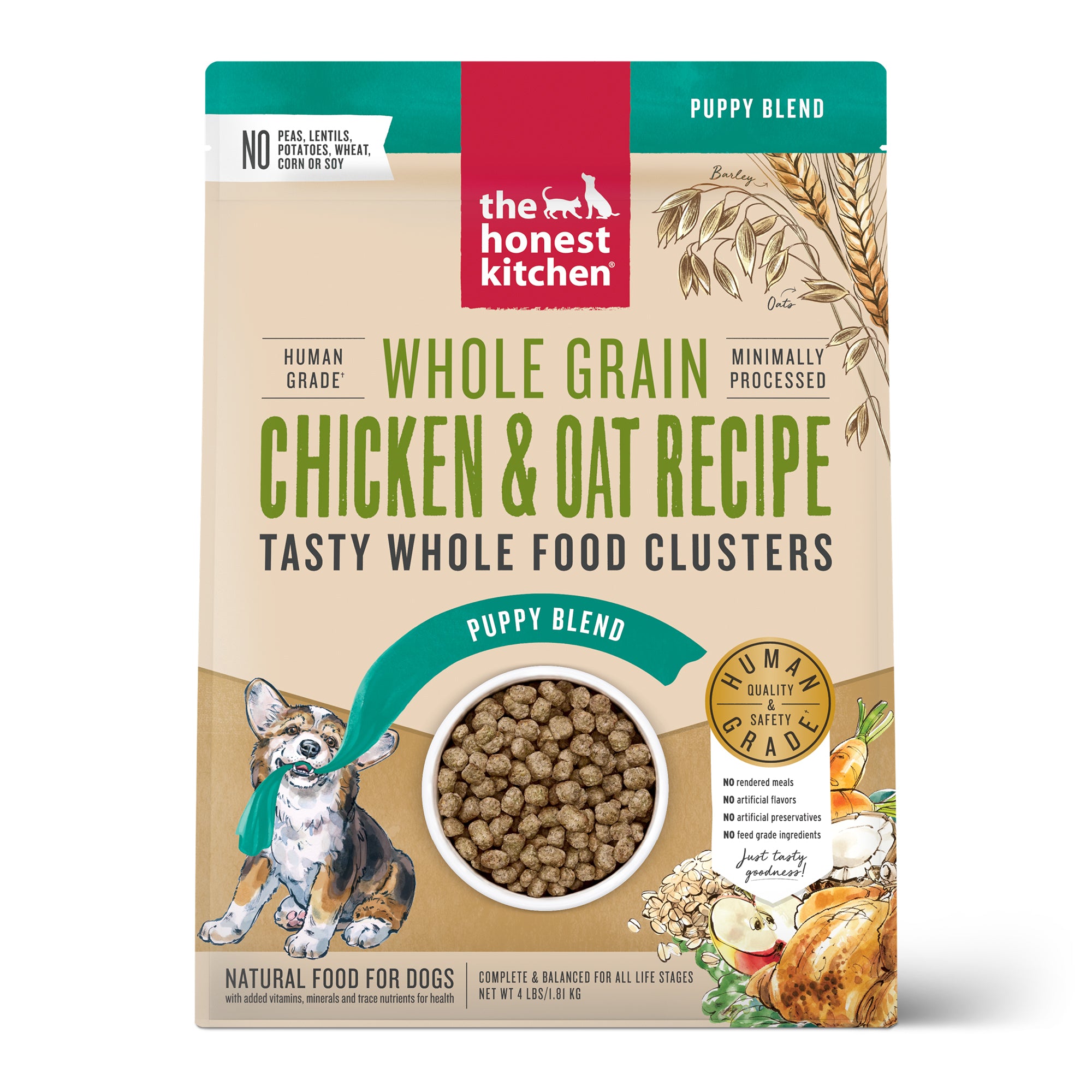 No grain 2024 puppy food