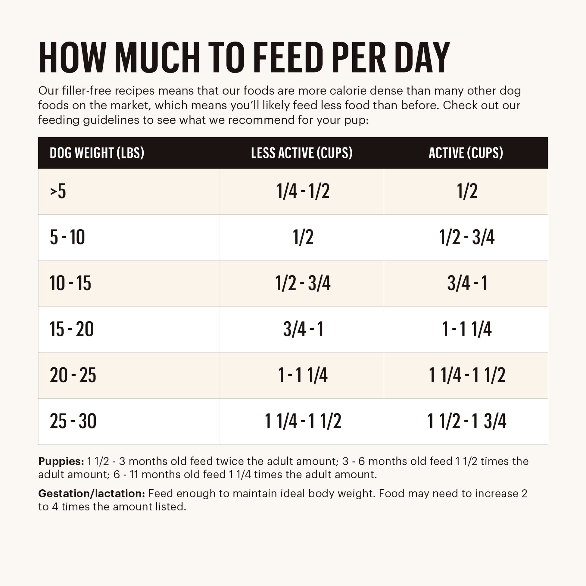 Small Breed Dog Food and Feeding Guide